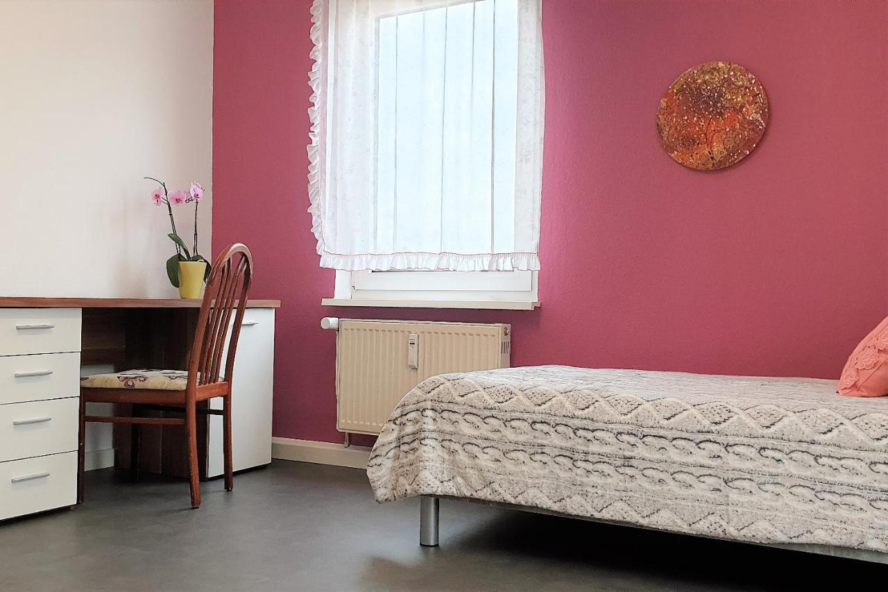 Apartment Bayreuth, Grosse Ferienwohnung Im Haus Mit Kunst, 3 Schlafzimmer, Kueche, Parkplatz Exterior foto