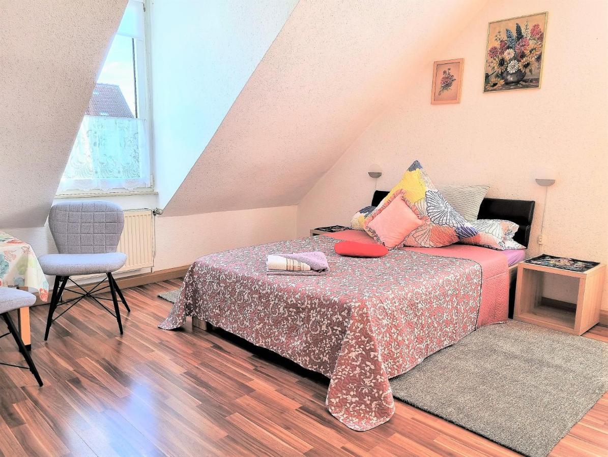 Apartment Bayreuth, Grosse Ferienwohnung Im Haus Mit Kunst, 3 Schlafzimmer, Kueche, Parkplatz Exterior foto